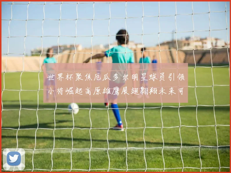 世界杯聚焦厄瓜多尔明星球员引领小将崛起高原雄鹰展翅翱翔未来可期